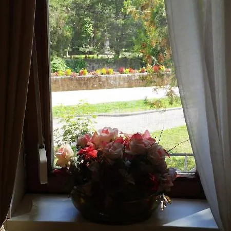 Apartman Patak *